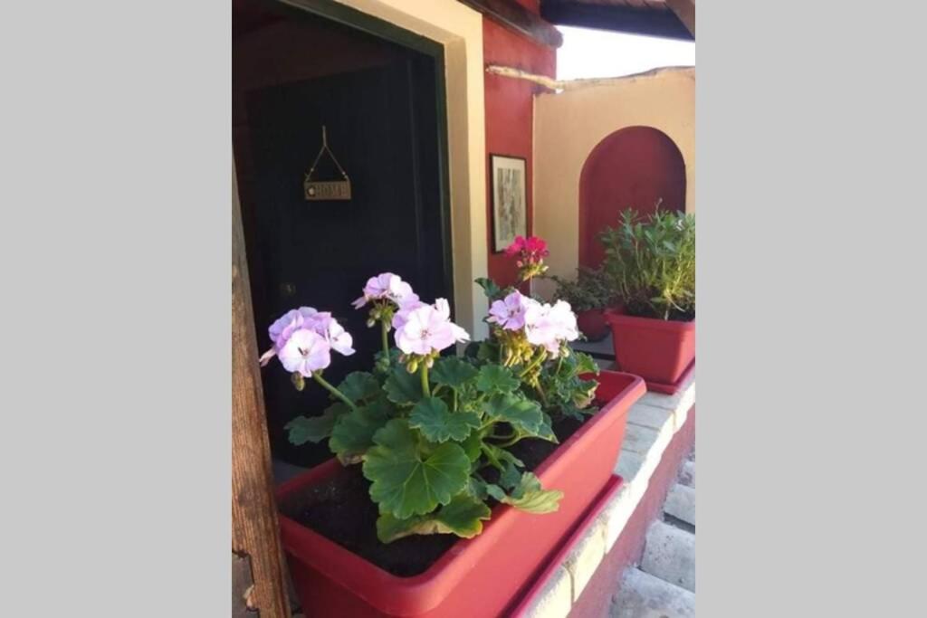 Green Hill Studio Corfu Town Exteriör bild
